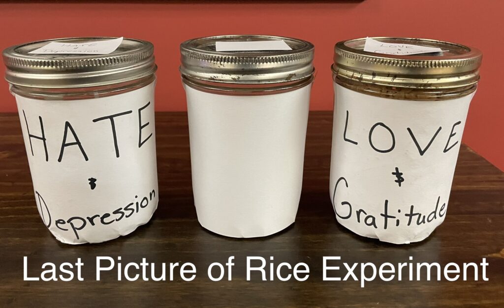 Rice Experiment Conclusion Love Makes The Difference!